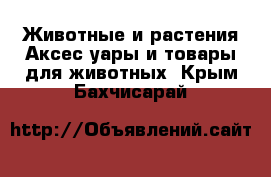 Животные и растения Аксесcуары и товары для животных. Крым,Бахчисарай